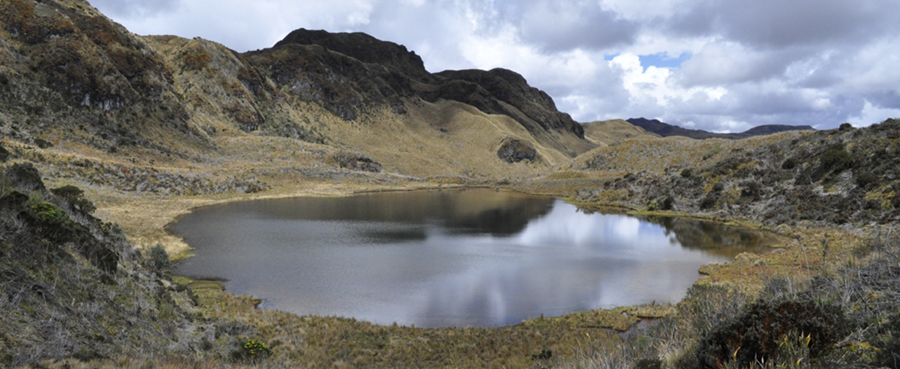 Los humedales, un recurso natural que atrae miles de turistas a Quito
